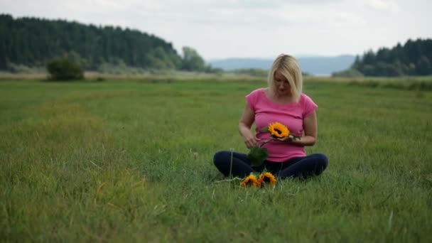 Toucher le tournesol dans la nature — Video