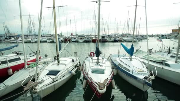 Marina with yachts — Stock Video