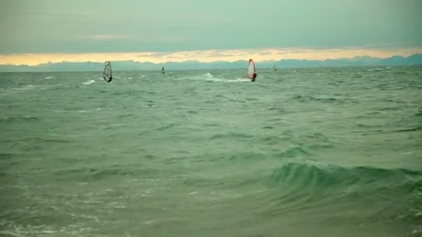 Windsurfers godere di tempo ventoso Video Stock Royalty Free