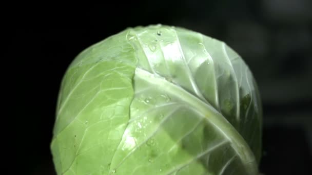Cabbage sprinkled with drops of water — Stock Video
