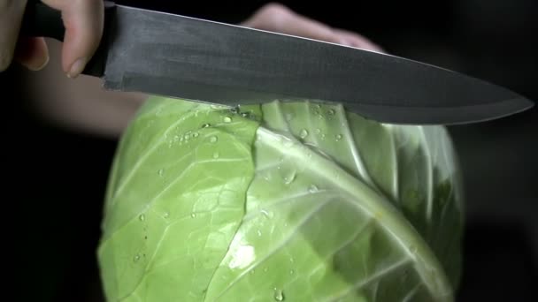 Розрізаємо капусту навпіл — стокове відео