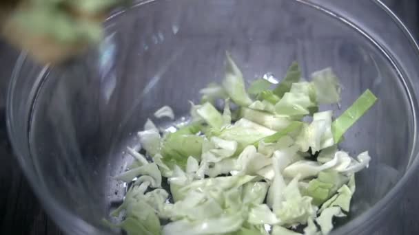 Putting the cabbage pieces into plastic dish — Stock Video