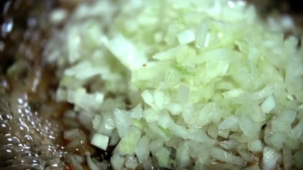 Frying the pieces of the onions — Stock Video