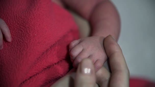 Bebé acostado en el regazo de su madre mientras sostiene su dedo — Vídeo de stock