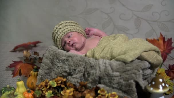 Baby lying in an autumn themed scene — Stock Video