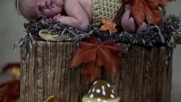 Baby bedekt met bruine bladeren onvermoeibaar slapen — Stockvideo
