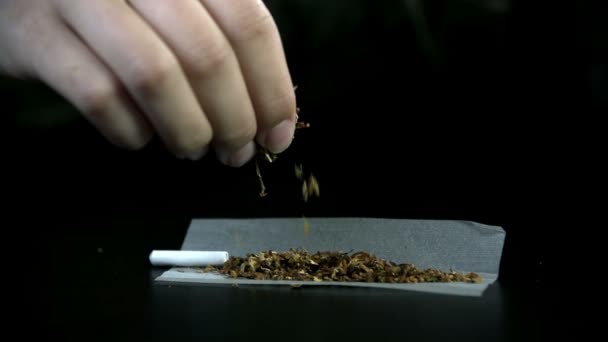 Spreading tobacco across the rolling paper with filter — Stock Video