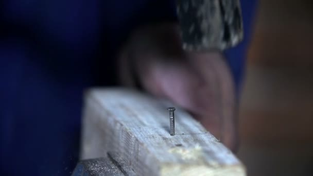 木材に釘で槌で打つ — ストック動画