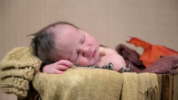 Baby sleeping in an autumn style arranged bed — Stock Video