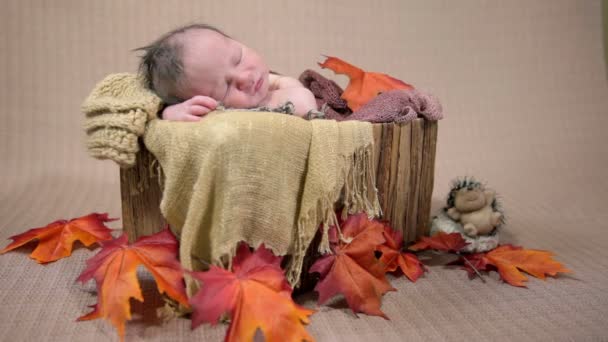 Baby sleeping in an autumn style arranged bed — Stock Video