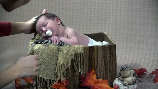 Fotograaf bereidt de baby voor een schietpartij — Stockvideo