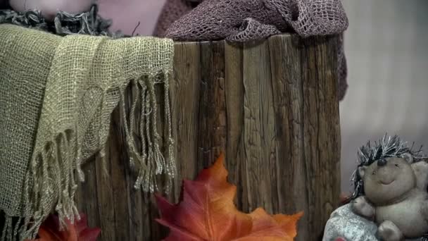 Toys and autumn leaves with a baby boy in a brown box — Stock Video