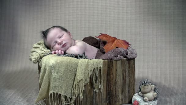 Feuilles brunâtres tombent bébé garçon au repos — Video