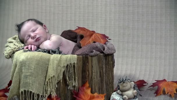小さな茶色のベッドと赤ちゃん — ストック動画