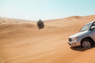 landcruiser çöl Safari