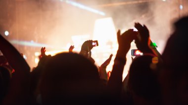 Konser Kalabalığı