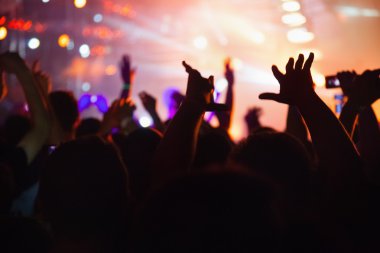 Konser Kalabalığı