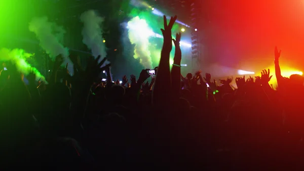 Concert Crowd — Stock Photo, Image