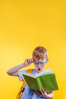 Kitap okuyan genç çocuk şaşırdı. Sarı arkaplanda metin için boş alan olan stüdyo portresi.