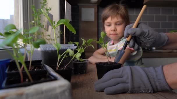 Matka pokazuje córce jak dbać o rośliny — Wideo stockowe