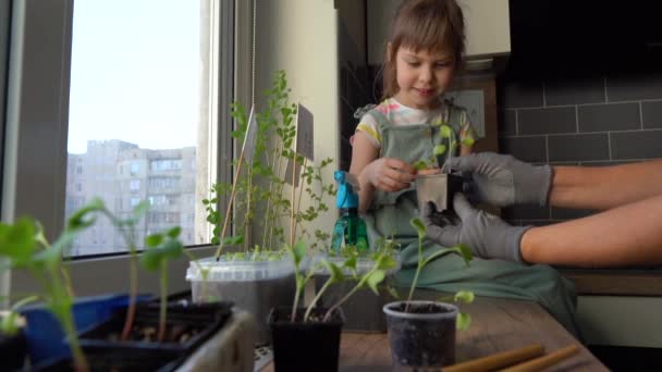 Mor visar sin dotter hur man tar hand om växter — Stockvideo