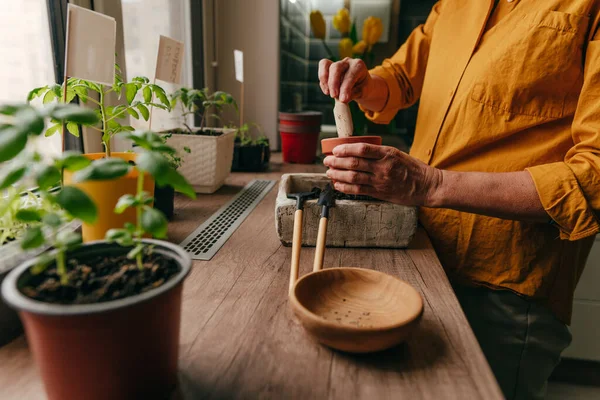 Close Woman Planting Tomato Seeds Flower Pot Using Garden Tool —  Fotos de Stock