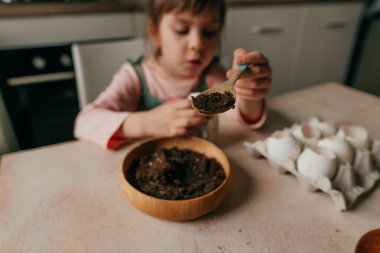 Küçük kız tohum ekmek için toprağı yumurta kabuğuna koyuyor. Çocuklarla evde bahçe işleri. Seçici odak.