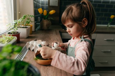 Küçük kız tohum ekmek için toprağı yumurta kabuğuna koyuyor. Çocuklarla evde bahçe işleri. Seçici odak.
