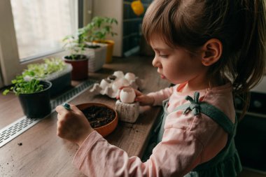 Küçük kız tohum ekmek için toprağı yumurta kabuğuna koyuyor. Çocuklarla evde bahçe işleri. Seçici odak.