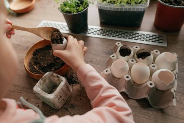 Küçük kız tohum ekmek için toprağı yumurta kabuğuna koyuyor. Çocuklarla evde bahçe işleri. Seçici odak.
