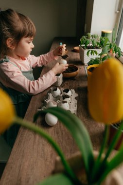 Küçük kız tohum ekmek için toprağı yumurta kabuğuna koyuyor. Çocuklarla evde bahçe işleri. Seçici odak.