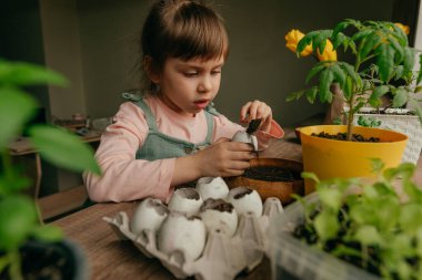 Küçük kız tohum ekmek için toprağı yumurta kabuğuna koyuyor. Çocuklarla evde bahçe işleri. Seçici odak.