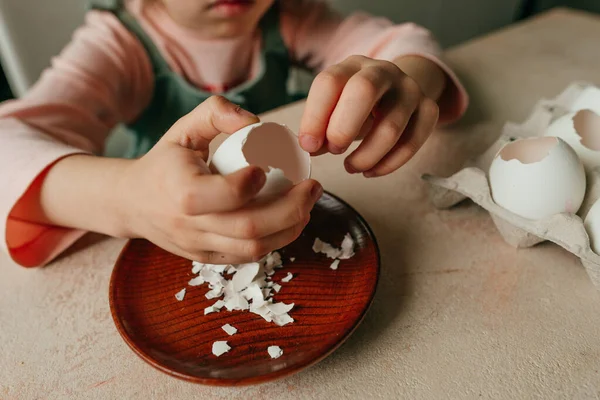 Küçük kız yumurta kabuklarına tohum ektiği için yumurta soyar. Mutfak penceresinin kenarında çocuklarla bahçeyle uğraşıyoruz. Seçici odak.