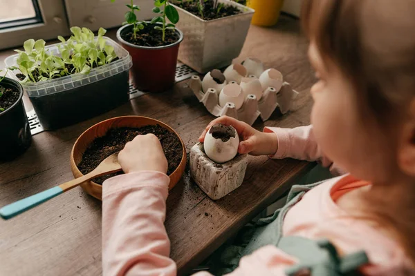Küçük Kız Tohum Ekmek Için Toprağı Yumurta Kabuğuna Koyuyor Çocuklarla — Stok fotoğraf