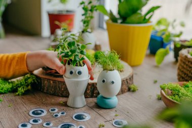 Küçük kız yumurta kabuklarını kabukla süslüyordu ve havuç filizlerini oyuncak çıkartmalarıyla evdeki ahşap masaya yapıştırıyordu. Bayramlık Paskalya dekorasyonu için yaratıcı eğlenceli DIY fikri. Seçici odak.