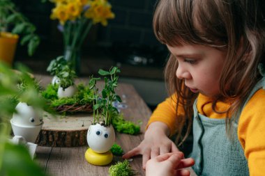 Evdeki ahşap masada fasulye filizi ve oyuncak çıkartmalarıyla yumurta kabuklarını süsleyen küçük bir kız. Bayramlık Paskalya dekorasyonu için yaratıcı eğlenceli DIY fikri. Seçici odak.