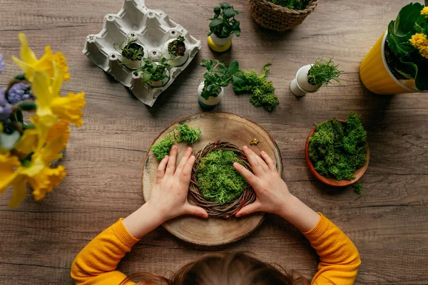 Evdeki masada yeşil yosun bulunan küçük kız dekorasyon yuvası manzarası. Yumurta kabuklarında çimen filizleri olan neşeli Paskalya dekorasyonu için yaratıcı bir fikir. Seçici odak.