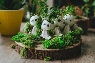 Yumurta kabuğunda minyatür komik yüzler ve oyuncak etiketli lahanalar. Paskalya bayramı için alternatif DIY fikri. Seçici odak.