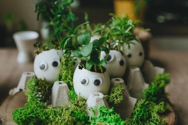 Yumurta kabuğunda minyatür komik yüzler ve oyuncak etiketli lahanalar. Paskalya bayramı için alternatif DIY fikri. Seçici odak.