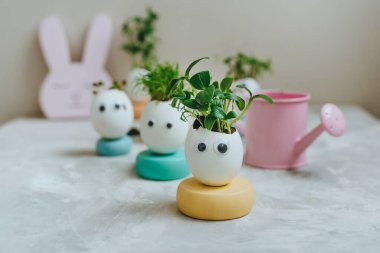 Yumurta kabuğunda minyatür komik yüzler ve oyuncak etiketli lahanalar. Paskalya bayramı için alternatif DIY fikri. Seçici odak.