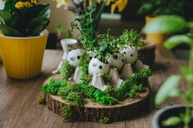 Yumurta kabuğunda minyatür komik yüzler ve oyuncak etiketli lahanalar. Paskalya bayramı için alternatif DIY fikri. Seçici odak.
