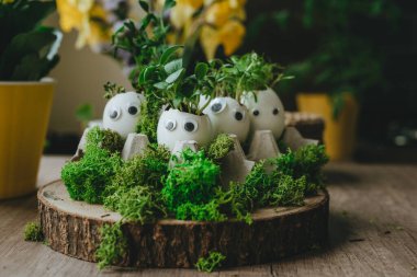 Yumurta kabuğunda minyatür komik yüzler ve oyuncak etiketli lahanalar. Paskalya bayramı için alternatif DIY fikri. Seçici odak.