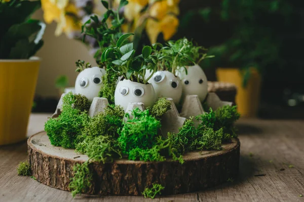 Yumurta kabuğunda minyatür komik yüzler ve oyuncak etiketli lahanalar. Paskalya bayramı için alternatif DIY fikri. Seçici odak.