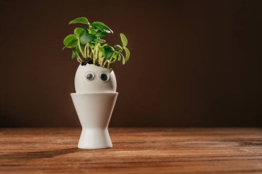 Salatalıklı yumurta kabuğu ve oyuncak etiketli yumurta kabuğu. Ahşap arka planda gözleri ve metin için boş bir alanı var. Bayramlık Paskalya dekorasyonu için yaratıcı eğlenceli DIY fikri. Seçici odak.