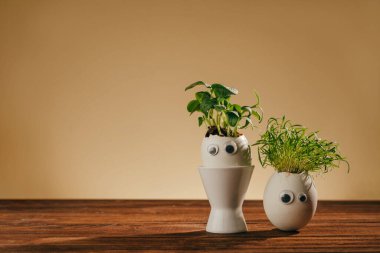 Salatalıklı yumurta kabukları ve oyuncak etiketli havuç filizleri. Ahşap arka planda gözleri ve metin için boş bir alan. Bayramlık Paskalya dekorasyonu için yaratıcı eğlenceli DIY fikri. Seçici odak.