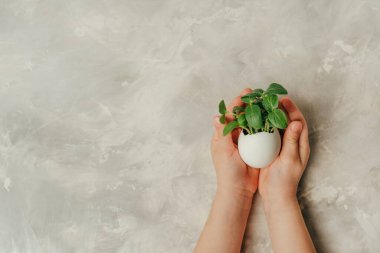 Çocukların elleri yumurta kabuğunu tutarken gri arka planda salatalık filizleri ve mesaj için boş bir alan. Bayramlık Paskalya dekorasyonu için yaratıcı eğlenceli DIY fikri. Üst manzara, düz uzanma.