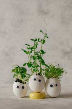 Salatalıklı yumurta kabuğu, havuç ve oyuncak etiketli fasulye filizleri gri arkaplanda gözleri ve yazı için boş bir alan. Bayramlık Paskalya dekorasyonu için yaratıcı eğlenceli DIY fikri. Seçici odak.