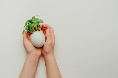Çocukların elleri yumurta kabuğunu tutarken gri arka planda salatalık filizleri ve mesaj için boş bir alan. Bayramlık Paskalya dekorasyonu için yaratıcı eğlenceli DIY fikri. Üst manzara, düz uzanma.