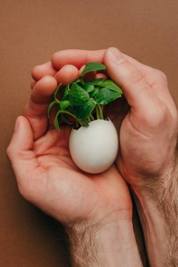 Erkek eller yumurta kabuğunu tutarken kahverengi arka planda salatalık filizleri ve metin için boş alan. Bayramlık Paskalya dekorasyonu için yaratıcı eğlenceli DIY fikri. Üst manzara, düz uzanma.