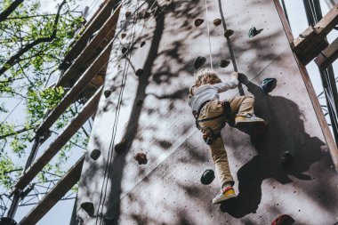 Macera halat parkındaki kaya tırmanışı duvarında emniyet kemeri takan küçük bir anaokulu öğrencisi. Çocuklar için yaz kampı aktivitesi.